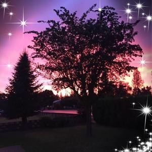 Meet your Posher, Brenna